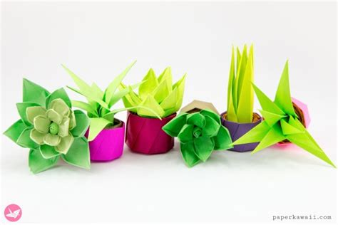Beginner Simple Origami Flower Lyrical Venus