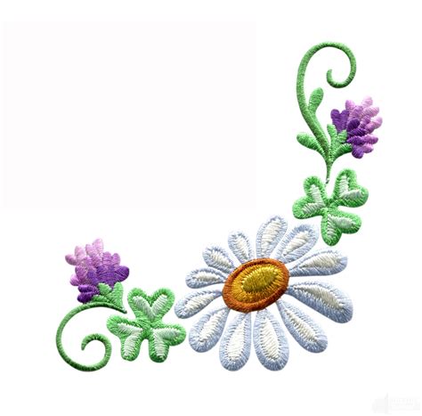 Daisy Floral Border 3 Embroidery Design