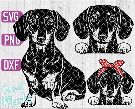 Dachshund Svgdoxie Svgdachshund Vector Laser Cut Etsy Uk