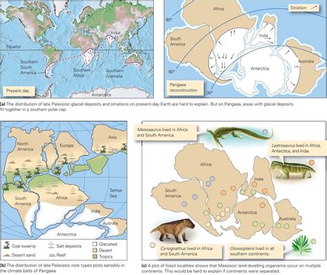 Continental Drift And Seafloor Spreading Diagram Quizlet