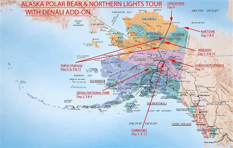 Alaska Polar Bear And Aurora Borealis Tour With Denali Add On