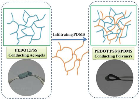 A Schematic Showing The Fabrication Of Pedotpsspdms Conducting