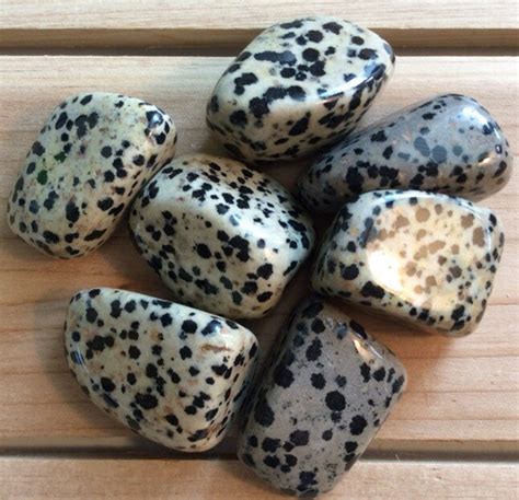 Dalmatian Jasper Medium Large Tumbled Stone Healing Crystals Etsy