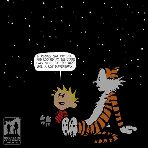 Pin By Dominic Kathiravel On Inspiration Calvin And Hobbes Calvin