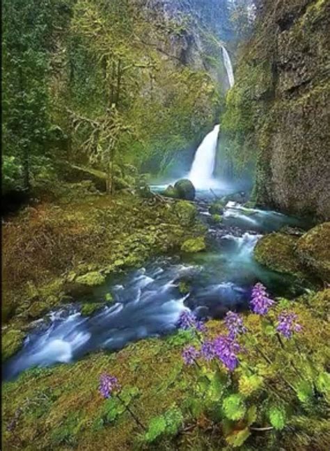 Pin By Jirka Hlavaty On Beauty Of Nature Waterfall Beautiful
