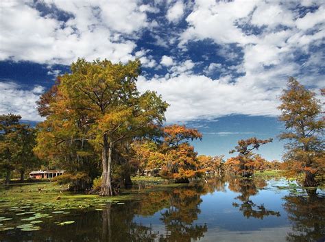 10 State And National Parks In Texas With Beautiful Fall