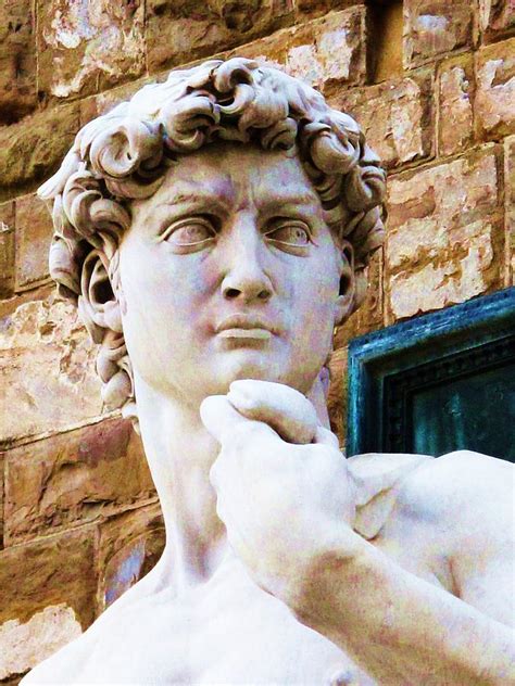 Michelangelos David Piazza Della Signoria Florence Photograph By