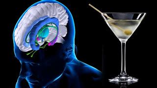 Psicologos Teruel C Mo Afecta El Alcohol En El Cerebro