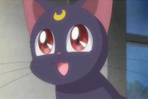 Luna Sailor Moon Guide Manga Insider