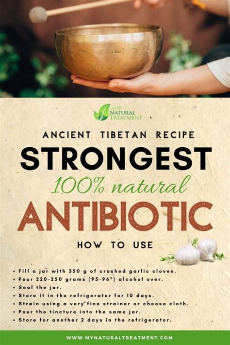 Strongest Natural Antibiotic In The World Recipe And Use