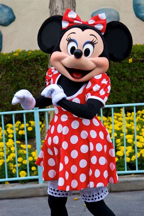 Minnie Mouse Costume Minnie Mouse Mickey