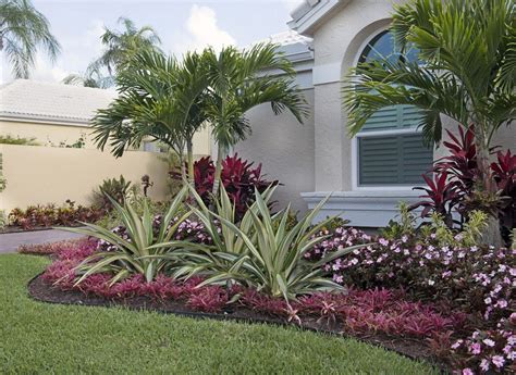 Tropical Garden Photos | Florida landscaping, Tropical landscaping, Landscape design