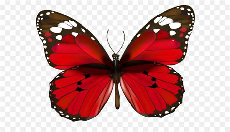 Butterfly Clip Art Red Butterflies Vector Png Clipart Png Download