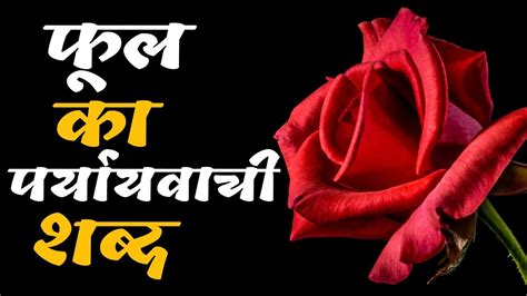 फूल का पर्यायवाची शब्द Phool Ka Paryayvachi Shabd Kya Hoga Youtube