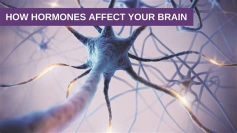 How Hormones Affect Your Brain Genesis Gold