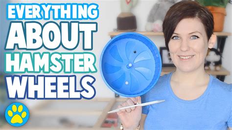 Hamster Wheels 101 Everything You Need To Know Youtube