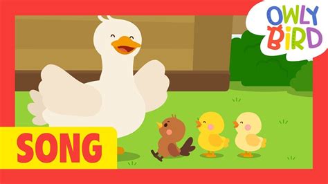 Six Little Ducks 🐥🐥🐥 Quack Quack Quack Nursery Rhymes Owlybird