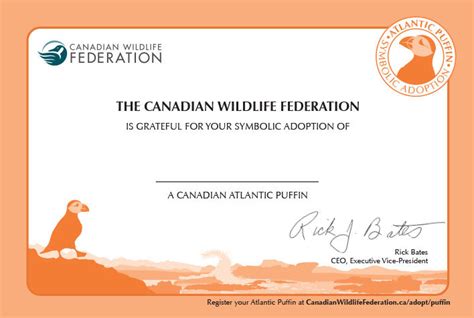 Puffin Adoption Kit Trousse Dadoption Macareux Canadian Wildlife