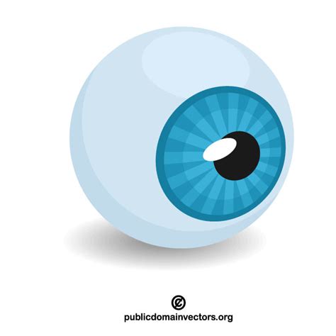 Eyeball Vector Clip Art Graphics Public Domain Vectors