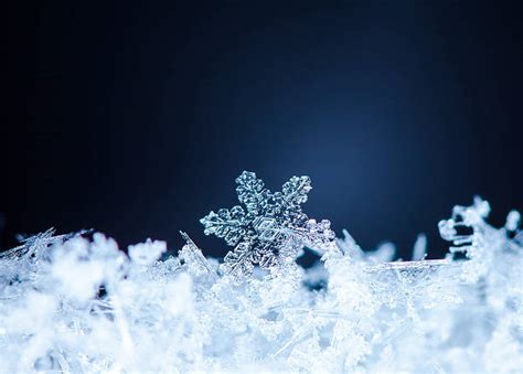 Royalty Free Snowflake Pictures Images And Stock Photos Istock