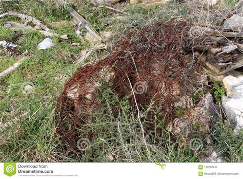 Find over 100+ of the best free green grass images. Mattress Spring Wire Left On Green Grass After Fire Stock ...