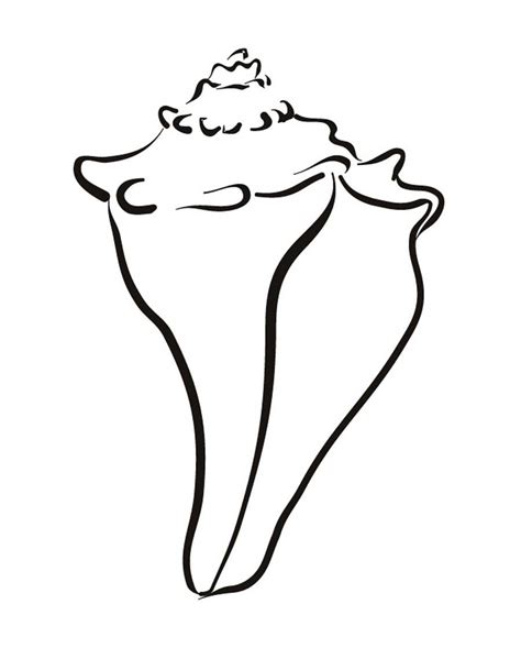 Select the coloring page you would like to print. Seashell Printable Coloring Pages - Coloring Home