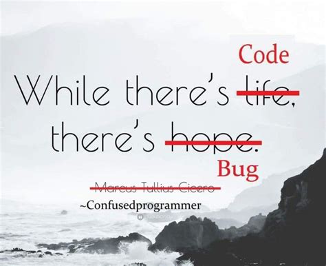 Programmer Quote Programmer Humor Programmer Quote Programmer Jokes