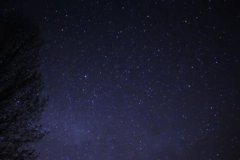Filenight Sky Stars Trees 03 Wikimedia Commons