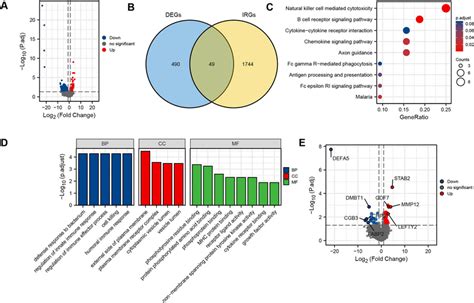 Screening Of Differentially Expressed Genes And Immune Related Genes