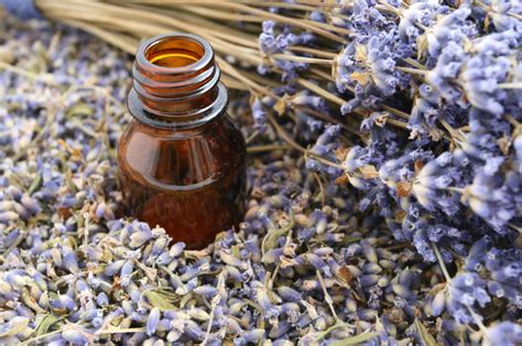 Essential have been used by many cultures around the world for essential oils have been used for cosmetic purposes and for their spiritually and emotionally uplifting qualities. How I Went From Aromatherapy Amateur To An Aromatherapy ...