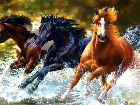 Draw a horse laying down. My Horse Supplies - One Special Horse Deal for One Day ...