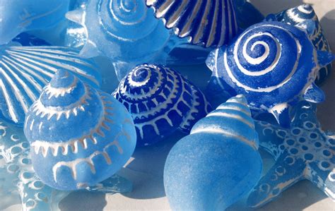Blue Shells Free Photo Download Freeimages