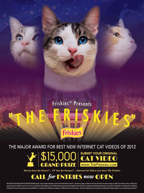 Friskies Stops Pussyfooting Around Internet Cat Culture Launches Vide