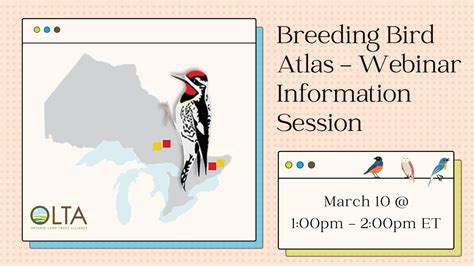 Breeding Bird Atlas Information Session Image Olta