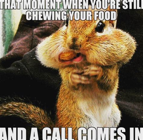 27 Of The Best Call Center Memes On The Internet Work Quotes Funny