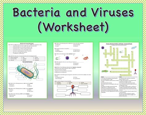 Bacteria And Viruses Worksheet Printable And Distance Learning Made By