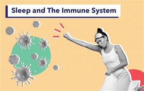 How The Immune System Affects Sleep Professionals Guide Update 04 2024