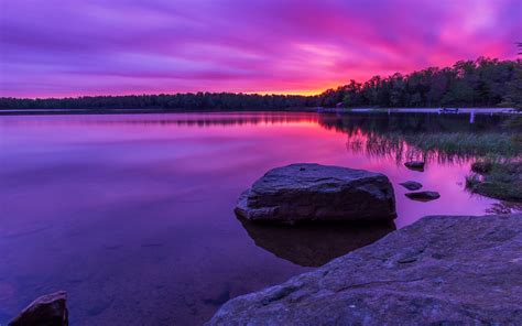 Purple Sunset Forest Lake Rocks Wallpaper Nature And Landscape