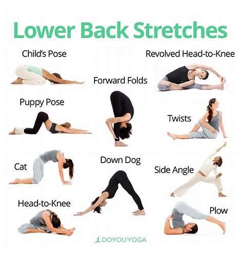 Lower Back Stretching Routine A Practical Guide