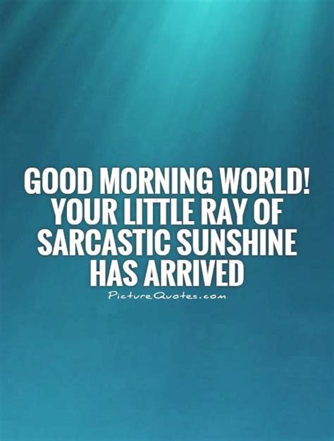 Good Morning World Your Little Ray Of Sarcastic Sunshine Has