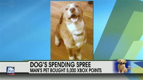 Dog Buys 5000 Ms Points No Really Update Joystiq