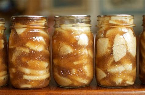 This homemade apple pie filling recipe can be canned & saved for chilly days when you crave an apple pie! Spiced Apple Pie Filling | Recipe | Meals in a jar ...