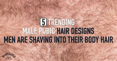 6 Outstanding Most Popular Pubic Hairstyles For Men