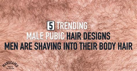 6 outstanding most popular pubic hairstyles for men