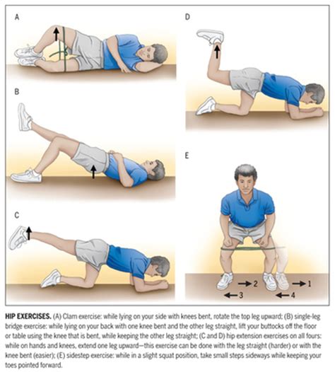 The way your hip flexors and lower back muscles attach to the pelvis makes them particularly prone to this: Strengthening Your Hip Muscles: Some Exercises ...