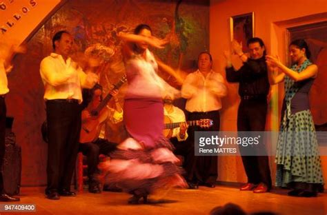 Gallos Photos And Premium High Res Pictures Getty Images