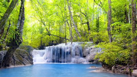 Bäume Wasserfälle Wald Fluss Sommer 2560x1600 Hd Hintergrundbilder