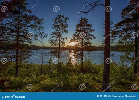 Gorgeous Sunset On Forest Lake View Beautiful Summer Backgrounds