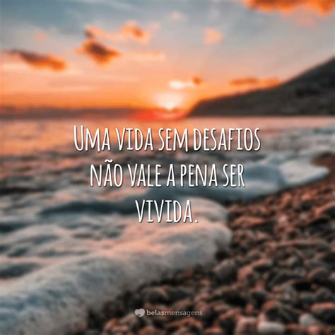 A Vida Irrefletida Não Vale A Pena Ser Vivida