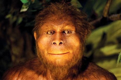 Senyum Homo Erectus National Geographic